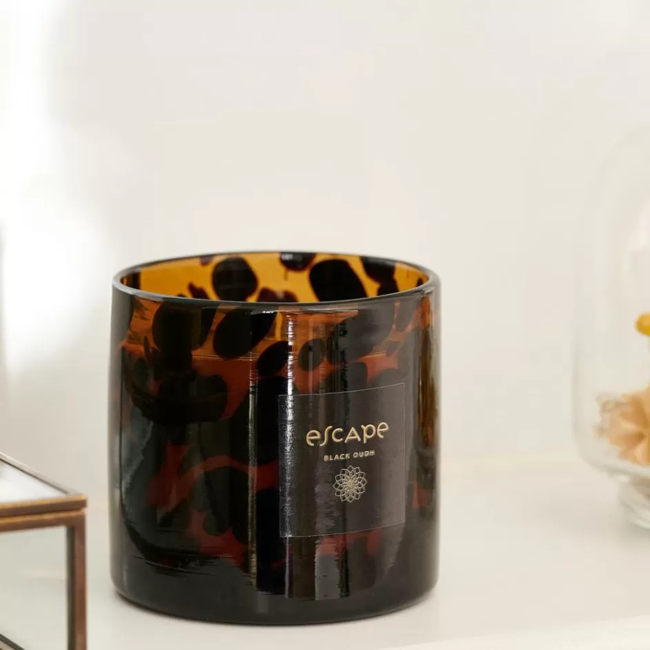 CASA ESCAPE BLACK OUDH Bougie Parfumée Dans Un Verre Noir, Brun, Multicolore Online