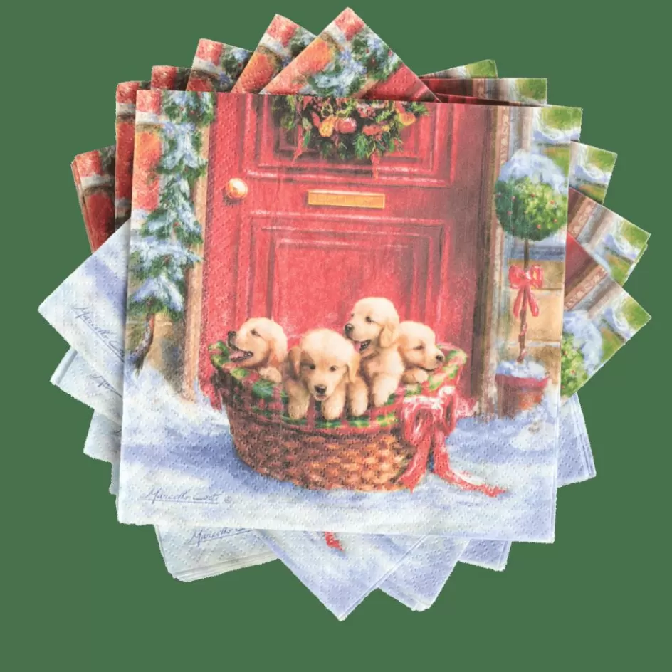 CASA PUPPIES Set De 20 Serviettes Multicolore Discount