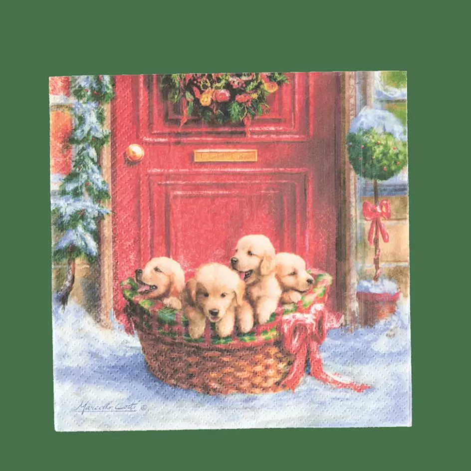 CASA PUPPIES Set De 20 Serviettes Multicolore Discount