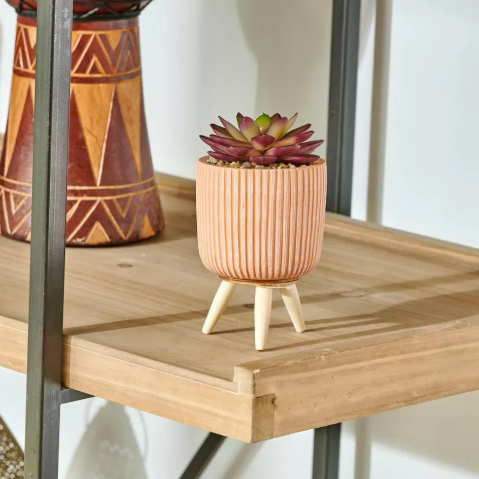 CASA STRIPE Plante Grasse Artificielle Multicolore Flash Sale