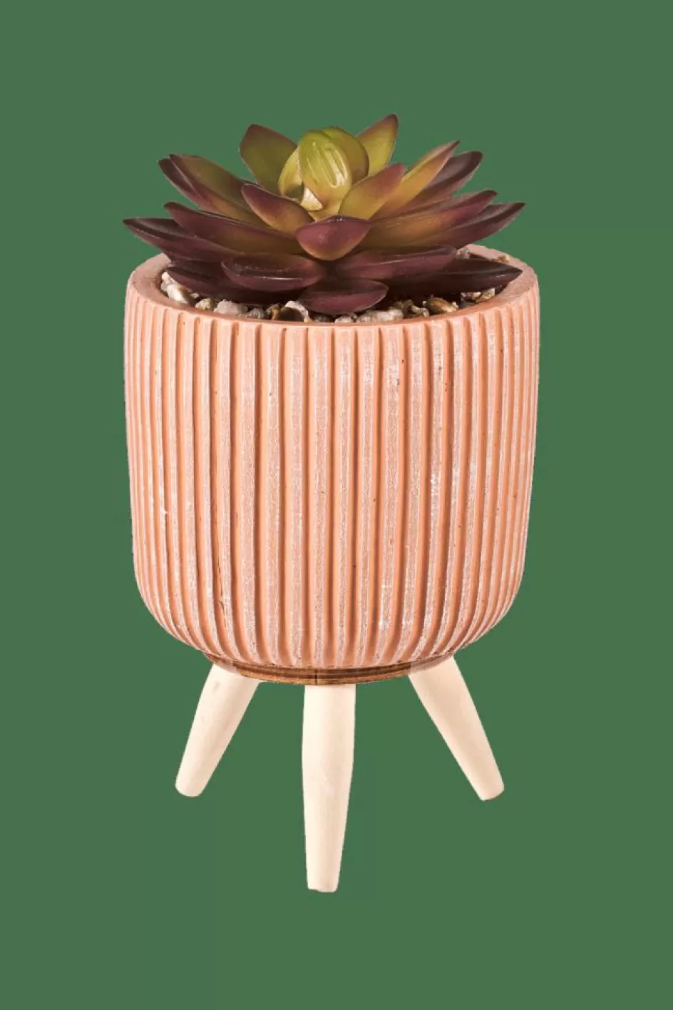 CASA STRIPE Plante Grasse Artificielle Multicolore Flash Sale