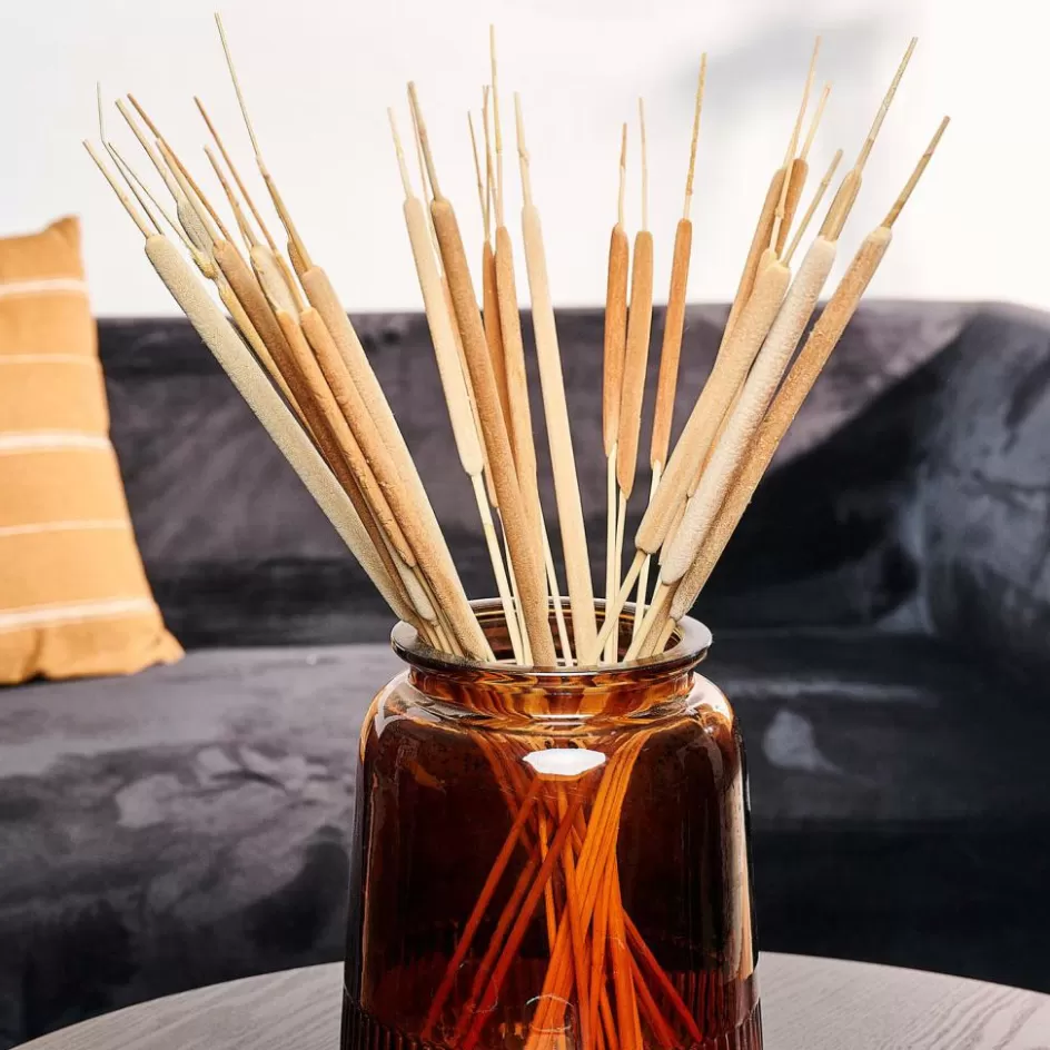 CASA TYPHA Hampes De Roseau Set De 15 Naturel Best