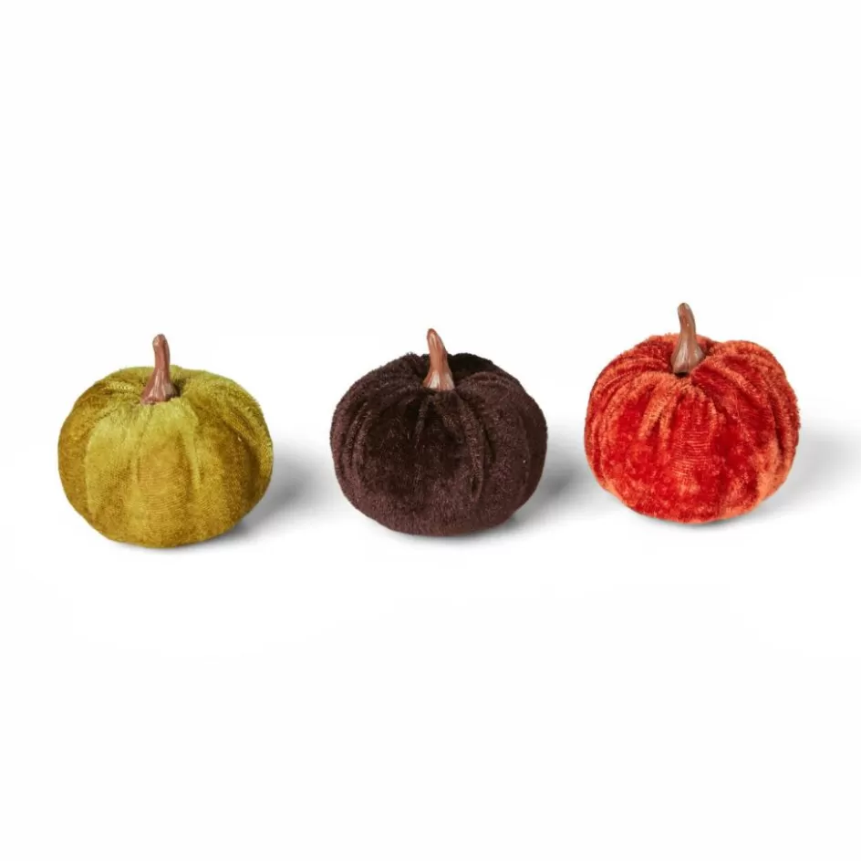 CASA VELVET Citrouille Déco Set De 3 Multicolore Fashion