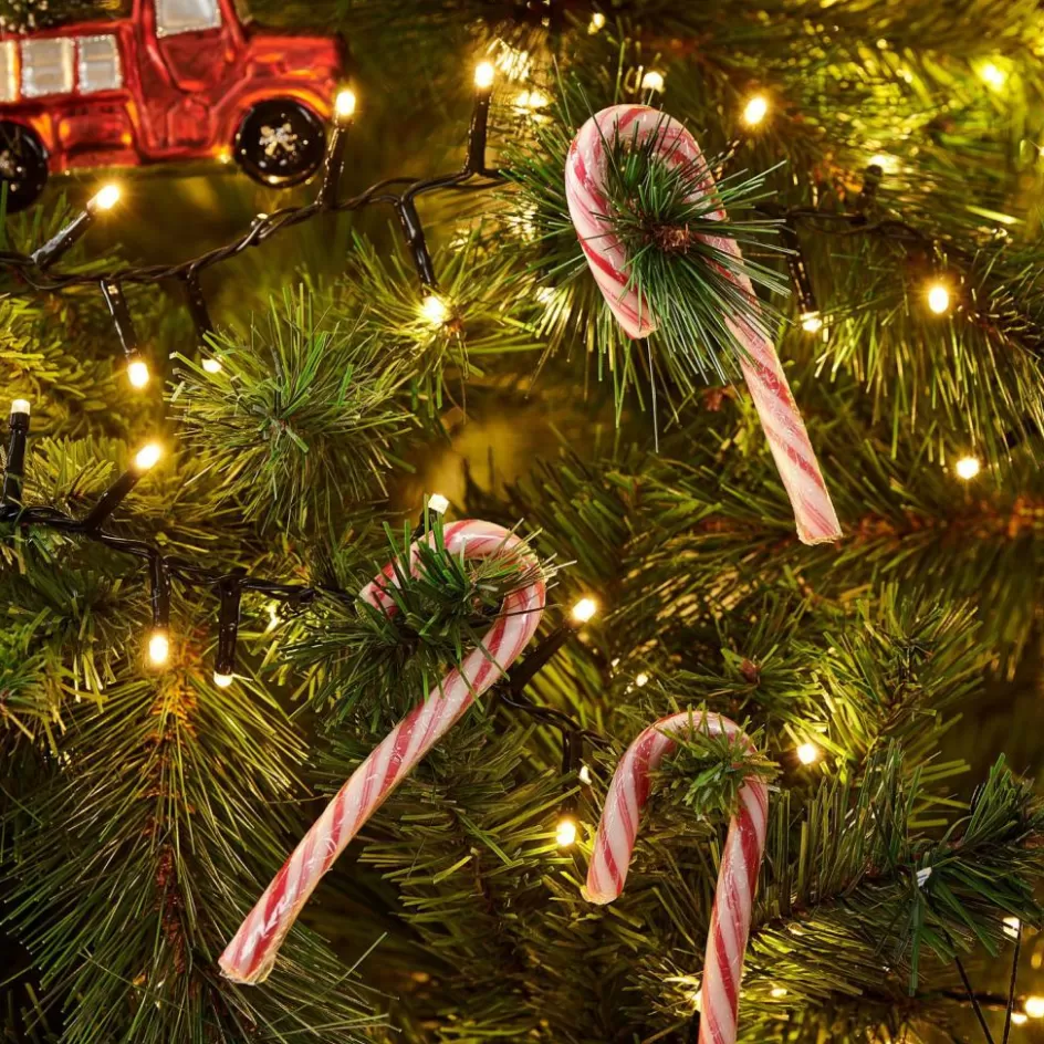 CASA X-MAS CANDY CANE Sucre D'orge Set De 12 144g Multicolore New